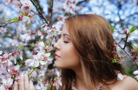 Эротичная брюнетка Сибил А показывает свою идеальную обнаженную раздвинутую киску на дереве 3